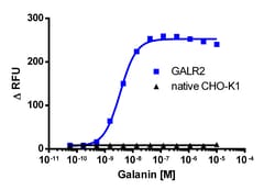 Eurofins Discoverx&nbsp;CHO-K1 GALR2 Gq Cell Line, 2 vials. (95-1010C2)