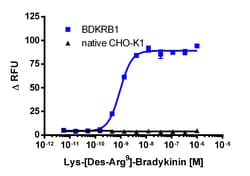 Eurofins Discoverx&nbsp;CHO-K1 BDKRB1 Gq Cell Line, 2 vials. (95-1011C2)