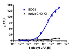 Eurofins Discoverx CHO-K1 EDG4 Gq Cell Line, 2 vials. (95-1012C2), Quantity: