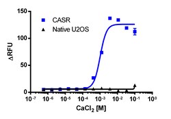 Eurofins Discoverx&nbsp;U2OS CASR Gq Cell Line, 2 vials. (95-1014C3)