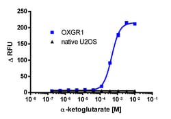 Eurofins Discoverx U2OS OXGR1 Gq Cell Line, 2 vials. (95-1017C3), Quantity: