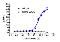 Eurofins Discoverx U2OS GRM5 Gq Cell Line, 2 vials. (95-1020C3), Quantity: