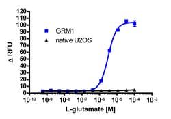 Eurofins Discoverx&nbsp;U2OS GRM1 Gq Cell Line, 2 vials. (95-1021C3)