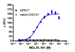 Eurofins Discoverx&nbsp;CHO-K1 GPR17 Gq Cell Line, 2 vials. (95-1022C2)
