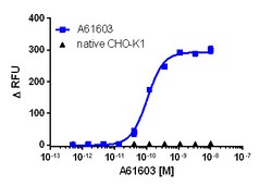 Eurofins Discoverx&nbsp;CHO-K1 ADRA1A Gq Cell Line, 2 vials. (95-1023C2)
