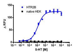 Eurofins Discoverx HEK 293 HTR2B Gq Cell Line, 2 vials. (95-1024C1)