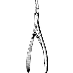 Sklar Instruments&nbsp;Forceps Sklar Microscopy Surgical   1/EA