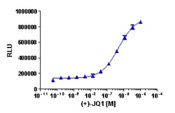 Eurofins Discoverx InCELL Hunter HEK 293 BRD4(1) Bromodomain Cell Line,