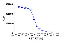 Eurofins Discoverx InCELL Hunter U2OS Bcl2L1-Bax Protein Binding Cell Line, 2 vials. (96-0009C3)