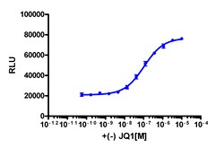 Eurofins Discoverx&nbsp;InCELL Hunter eXpress HEK 293 BRD3(1,2) Bromodomain Assay, 10-plate Kit. (96-0038E1CP7L)