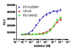 Eurofins Discoverx&nbsp;InCELL Hunter A549 MEK1 Kinase Binding Cell Line, 2 vials. (96-0040C15)