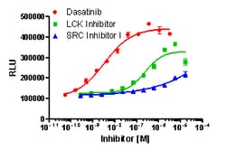 Eurofins Discoverx InCELL Hunter A549 HCK Kinase Binding Cell Line, 2 vials. (96-0041C15)
