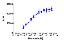 Eurofins Discoverx&nbsp;InCELL Hunter eXpress HCK Kinase Binding Assay, 10pl Kit. (96-0041E15CP0L)