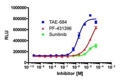 Eurofins Discoverx InCELL Hunter A549 PYK2 Kinase Binding Cell Line, 2 vials. (96-0042C15)