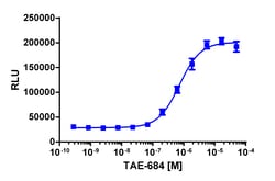 Eurofins Discoverx&nbsp;InCELL Hunter eXpress PYK2 Kinase Binding Assay, 2pl Kit. (96-0042E15CP0M)