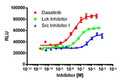 Eurofins Discoverx InCELL Hunter HEK 293 BLK Kinase Binding Cell Line,