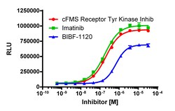 Eurofins Discoverx InCELL Hunter A549 CSF1R Kinase Binding Cell Line, 2