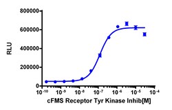 Eurofins Discoverx&nbsp;InCELL Hunter eXpress CSF1R Kinase Binding Assay, 2pl Kit. (96-0047E15CP0M)