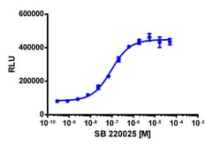 Eurofins Discoverx&nbsp;InCELL Hunter eXpress CSNK1D Kinase Binding Assay, 10-plate Kit. (96-0048E15CP0L)