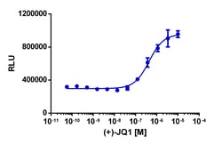 Eurofins Discoverx&nbsp;InCELL Hunter HEK 293 BRD2(1,2) Bromodomain Cell Line, 2 vials. (96-0049C1)