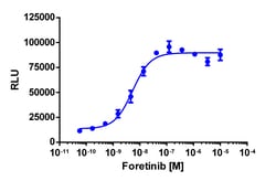 Eurofins Discoverx&nbsp;InCELL Hunter eXpress RIPK2 Kinase Binding Assay, 10pl Kit. (96-0050E1CP0L)