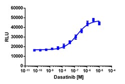 Eurofins Discoverx&nbsp;InCELL Hunter eXpress SIK1 Kinase Binding Assay, 2pl Kit. (96-0051E15CP0M)
