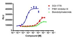 Eurofins Discoverx&nbsp;InCELL Hunter A549 PIM1 Kinase Binding Cell Line, 2 vials. (96-0052C15)