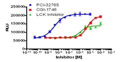 Eurofins Discoverx InCELL Hunter A549 BTK Kinase Binding Cell Line, 2 vials.