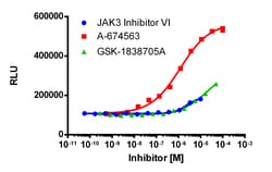 Eurofins Discoverx InCELL Hunter A549 CLK2 Kinase Binding Cell Line, 2