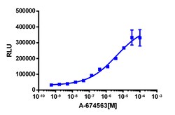 Eurofins Discoverx InCELL Hunter eXpress CLK2 Kinase Binding Assay, 2pl