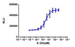 Eurofins Discoverx&nbsp;InCELL Hunter eXpress CLK1 Kinase Binding Assay, 10pl Kit. (96-0059E1CP0L)