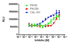 Eurofins Discoverx&nbsp;InCELL Hunter HEK 293 PI3Kδ Kinase Binding Cell Line, 2 vials. (96-0061C1)