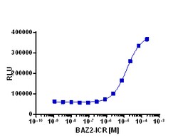 Eurofins Discoverx&nbsp;InCELL Hunter HEK 293 BAZ2A Bromodomain Cell Line, 2 vials. (96-0074C1)