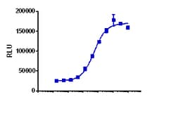 Eurofins Discoverx KILR SKBR3 Cell Pool, 2 vials. (97-1002P018), Quantity: