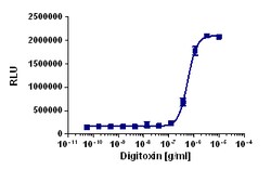 Eurofins Discoverx KILR THP-1 Cell Pool, 2 vials. (97-1011P014), Quantity: