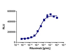 Eurofins Discoverx KILR Raji Cell Pool, 2 vials. (97-1012P026), Quantity: