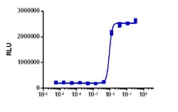 Eurofins Discoverx&nbsp;KILR SK-MEL-28 Cell Pool, 2 vials. (97-1017P031)