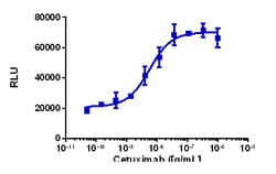 Eurofins Discoverx KILR A498 Cell Pool, 2 vials. (97-1021P034), Quantity: