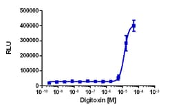 Eurofins Discoverx KILR T2 Cell Pool, 2 vials. (97-1025P038), Quantity: