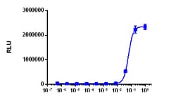 Eurofins Discoverx KILR Jurkat PD-1 Cell Line, 2 vials. (97-1037C019),
