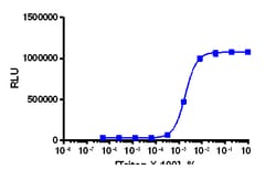 Eurofins Discoverx KILR HCT-116 Cell Pool, 2 vials. (97-1040P047), Quantity: