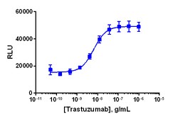 Eurofins Discoverx&nbsp;KILR BT-474 Cell Pool, 2 vials. (97-1042P049)