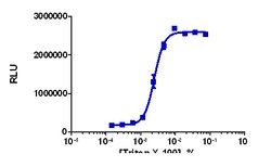 Eurofins Discoverx&nbsp;KILR MM-1R Cell Pool, 2 vials. (97-1045P052)