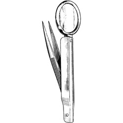 Sklar Instruments&nbsp;Forceps Sklar Microscopy Surgical   1/EA
