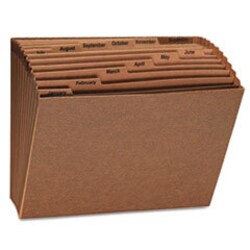 Enterprise Technology Solutions Expanding Files, 12 Sections, 1/12-Cut