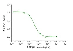 Genscript Corporation TGF-β1, Human, Quantity: Each of 1