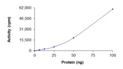Sino Biological&nbsp;Recombinant Human c-Abl/ABL1 Protein (Q252H, GST Tag), Active