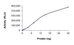 Sino Biological&nbsp;Recombinant Human c-Abl/ABL1 Protein (His Tag), Active