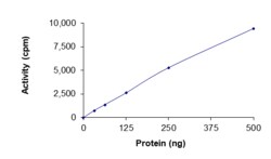 Sino Biological&nbsp;Recombinant Human ACVR1 Protein (R258G, GST Tag), Active
