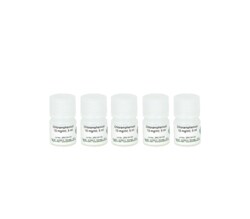 Zymo Research Corporation Chloramphenicol (25 ml) 10mg/ml in Ethanol (5